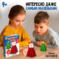 Набор для опытов 2 в 1 «Новогодние опыты», выращивание кристаллов, 2 шт. Набор для опытов 2 в 1 «Новогодние опыты», выращивание кристаллов, 2 шт.