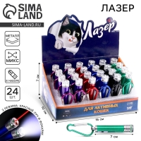 Лазер &laquo;Для активных кошек&raquo;, цвета МИКС, в шоубоксе