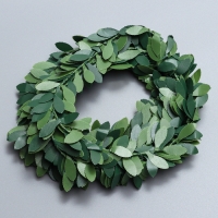 Лиана искусственная для декора &laquo;Папоротник&raquo;, 3 метра, 13 &times; 13 &times; 2 см