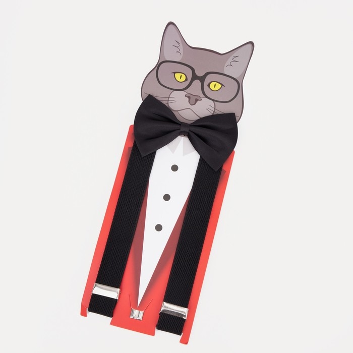 Подтяжки детские &laquo;Выбражулька&raquo;, ширина 2.5 см, бабочка, цвет чёрный