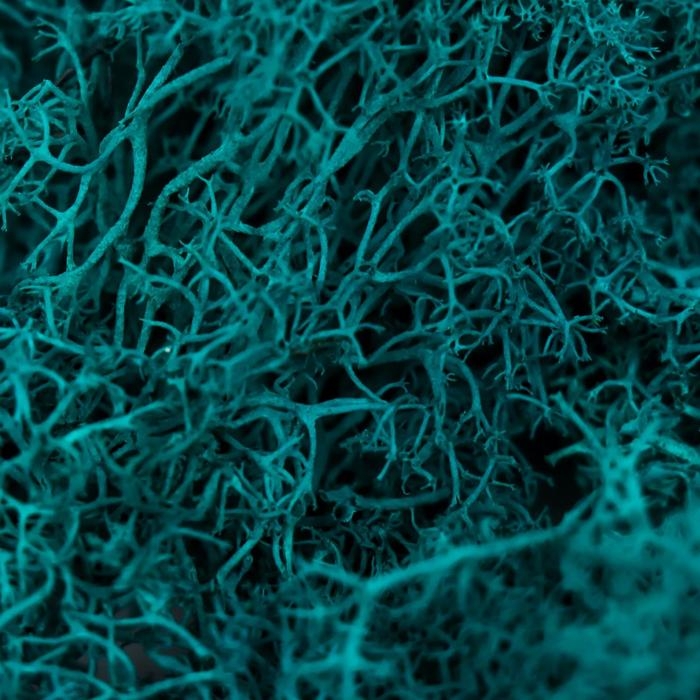 Мох стабилизированный "Морская волна" МИКС 45 гр (+-5 гр)