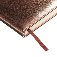 Ежедневник недатированный, обложка ПВХ, формат А5, 140 л, клетка, металлик Бронза Ежедневник недатированный, обложка ПВХ, формат А5, 140 л, клетка, металлик Бронза