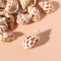 Ракушки природные декоративные "Бабилония" набор 100 гр