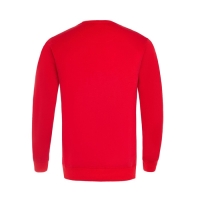 Свитшот мужской, цвет красный/принт МИКС, размер M Свитшот мужской, цвет красный/принт МИКС, размер M