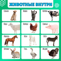 Развивающий трансформер &laquo;Умникуб: Домашние животные&raquo;, 3+