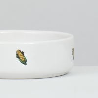 Миска керамическая для грызунов "Кукуруза" 80 мл 8,5 х 3 см Миска керамическая для грызунов "Кукуруза" 80 мл 8,5 х 3 см