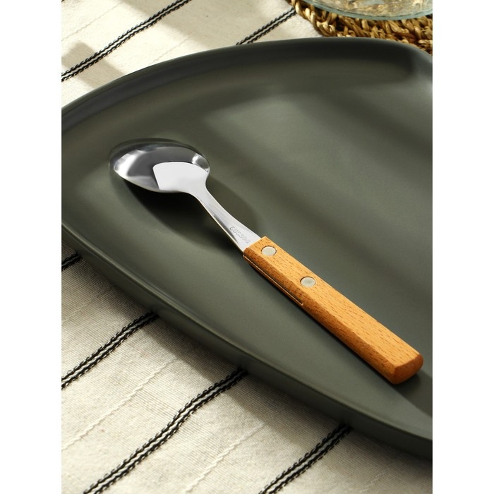 Ложка столовая из нержавеющей стали &laquo;Эко-стейк&raquo;, длина 19,5 см, толщина 1,5 мм, деревянная ручка, цвет ручки МИКС