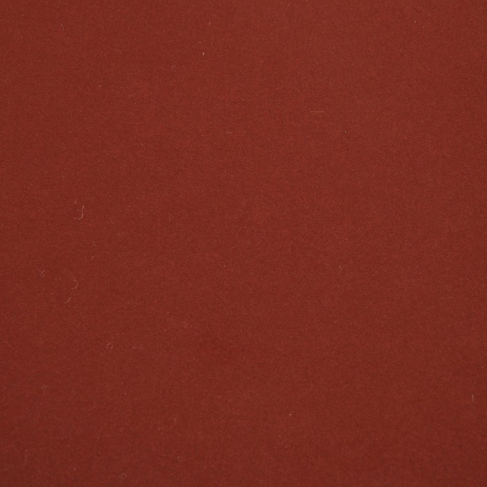 Круг абразивный шлифовальный под "липучку" ТУНДРА, 150 мм, Р1000, 5 шт.