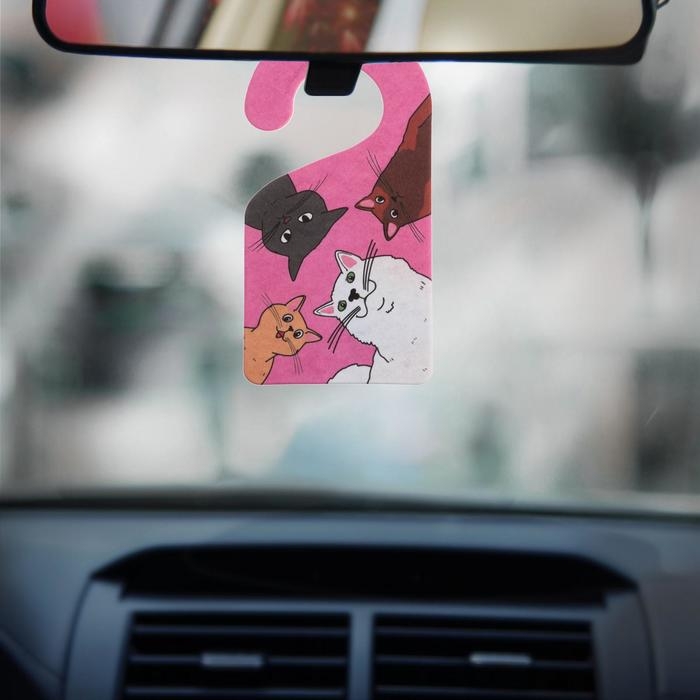 Ароматизатор в машину Luazon «Опять ты», аромат бабл-гам Ароматизатор в машину Luazon «Опять ты», аромат бабл-гам