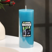 Свеча-цилиндр ароматическая "Черника", 6х15 см Свеча-цилиндр ароматическая "Черника", 6х15 см