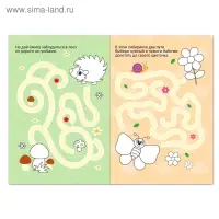 Раскраска &laquo;Лабиринты&raquo;, 12 стр.