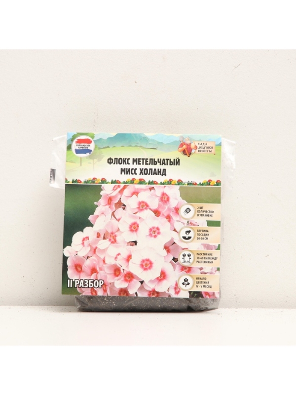 Флокс метельчтый Miss holland корневище в пакете с торфогрунтом, р-р II, 2 шт.