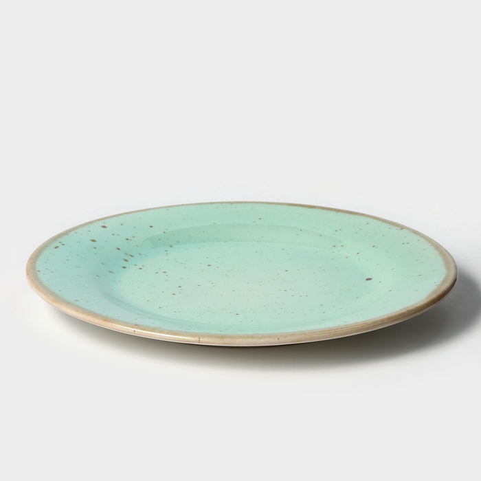 Тарелка фарфоровая Nordic, d=24 см, h=2 см