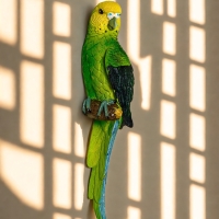 Декор на стену, для дома TAKE IT EASY &laquo;Попугай&raquo;, панно, зелёный, 8&times;6.5&times;30 см