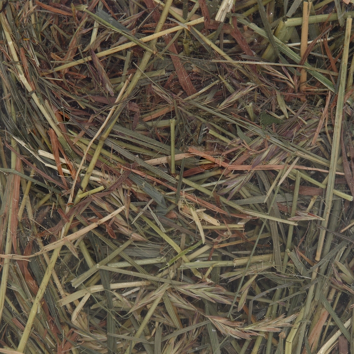 Сено луговое с фруктами «Пижон» для грызунов, 20 л, 500 г Сено луговое с фруктами «Пижон» для грызунов, 20 л, 500 г