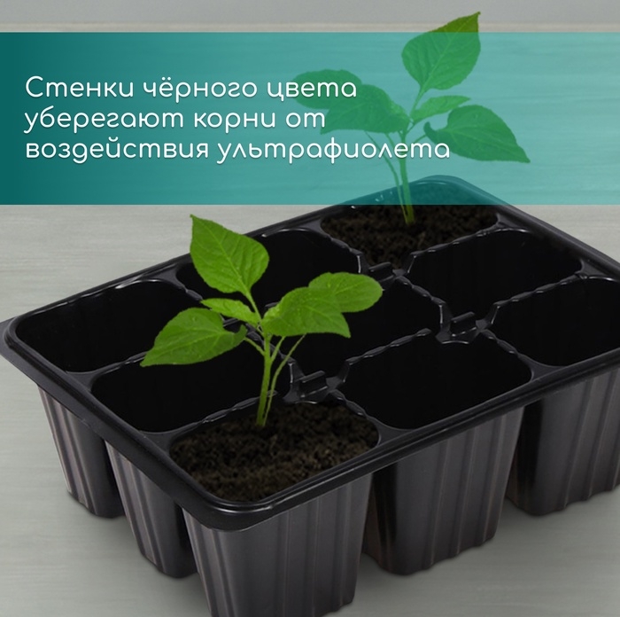 Кассета для рассады, на 9 ячеек, по 80 мл, пластиковая, чёрная, 18 &times; 13 &times; 6 см, Greengo