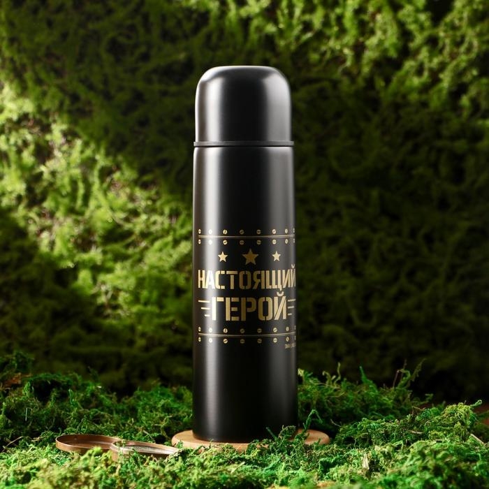 Набор посуды для пикника &laquo;Защитник&raquo;, термос 500 мл, кружка 180 мл, 2 шт