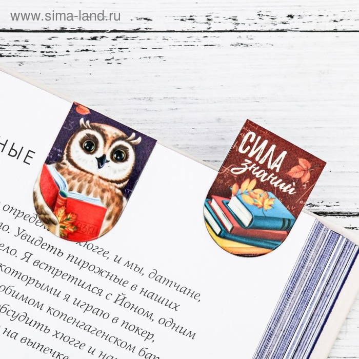 Закладки магнитные для книг, 8 шт &laquo;Время учиться&raquo;, 15 х 15 см