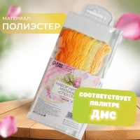 Набор ниток мулине, 8 &plusmn; 1 м, 7 шт, цвет жёлтый спектр