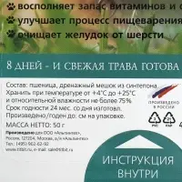 Трава TiTBiT для кошек, пшеница, 50 г