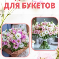 Набор Семена цветов эустомы махровой лизиантус