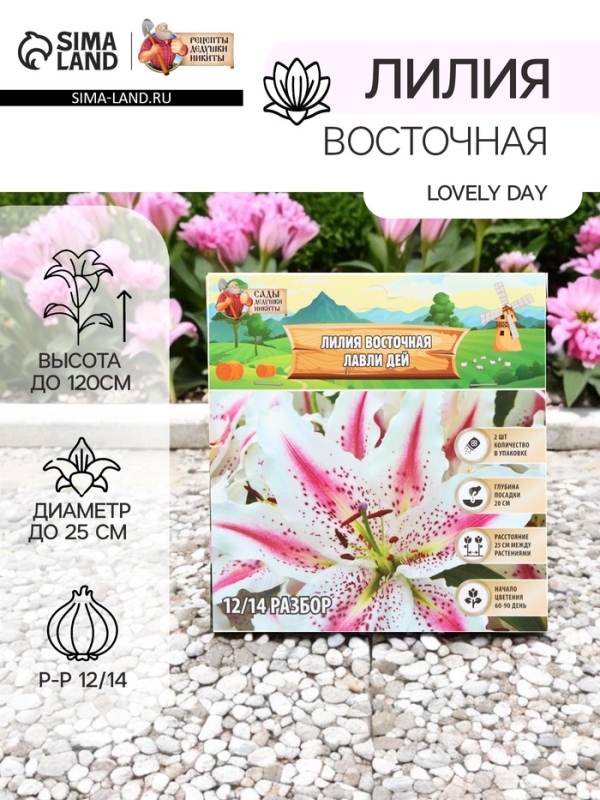 Лилия Восточная Lovely Day, луковица в пакете с перфорацией, р-р 12/14, 2 шт.