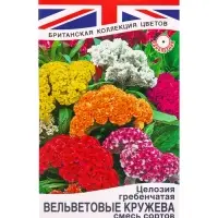 Семена цветов Целозия гребенчатая Вельветовые кружева, Британская коллекция цветов, Ц/П,0,2 г 109459