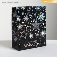 Пакет голографический вертикальный &laquo;Волшебного Нового года&raquo;, S 12 х 15 х 5.5 см, Новый год