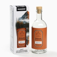 Подарочный набор для приготовления настойки &laquo;Коньяк по латгальски&raquo;, набор трав и специй 20 г., бутылка 500 мл., инструкция