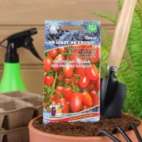 Семена Томат "Ни забот, ни хлопот",  ультраскороспелый, детерминантный,низкорослый, 20 шт