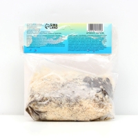 Глоксиния &laquo;Голливуд&raquo;, многолетник, комнатный, луковица в пакете с перфорацией, р-р 5/6, 2 шт.