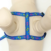 Шлейка с поводком &laquo;Цветные следы&raquo;, 23-35 см, ширина 1 см, поводок 120 см, синяя