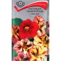 Семена цветов Настурция низкорослая Танец огня, 1гр