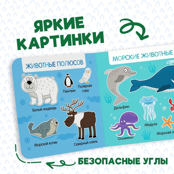 Картонная книга &laquo;Первая книга. Удивительные животные&raquo;, 10 стр., 15 &times; 15 см, Синий трактор