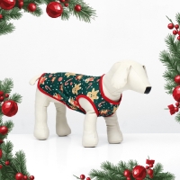 Толстовка "Пряня", размер XL (ДС 40, ОШ 40, ОГ 50 см), зелёная Толстовка "Пряня", размер XL (ДС 40, ОШ 40, ОГ 50 см), зелёная