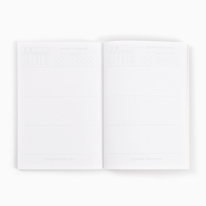 Новый год. Ежедневник-планинг &laquo;Создавай свой год&raquo;, А5, 80 л.