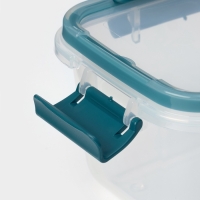 Контейнер пищевой герметичный Butterfly, 750 мл, пластик, прозрачный, крышка МИКС