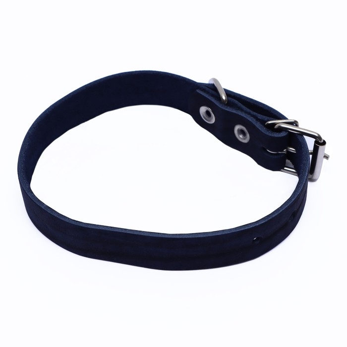 Ошейник кожаный однослойный, 45 х 2 см, ОШ 25-35 см, синий