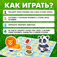 Развивающий набор &laquo;Всё по местам&raquo;, 16 карточек, 10 заданий, 3+