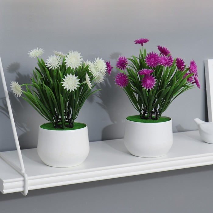 Бонсай в горшке Бонсай в горшке "Остроконечник" 9х28 см, микс