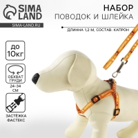 Комплект &laquo;Любимчик&raquo;, шлейка 24-34 см, поводок 120х1 см