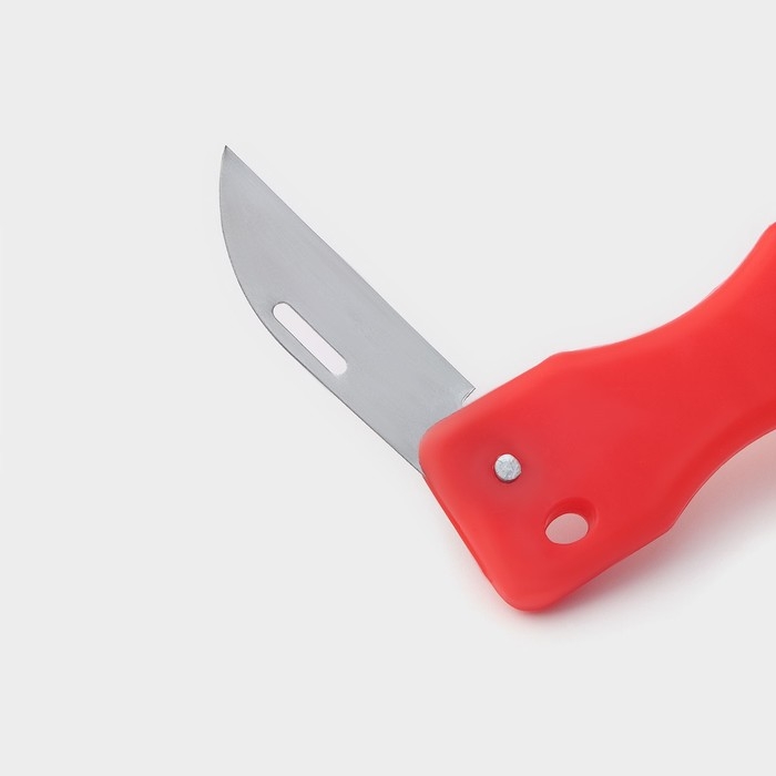 Рыбочистка многофункциональная Доляна &laquo;Комфорт&raquo;, 3 в 1, 19 см, с контейнером и ножом, цвет МИКС