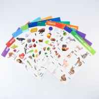 Набор обучающих плакатов &laquo;Изучаем мир&raquo;, 10 в 1, А4