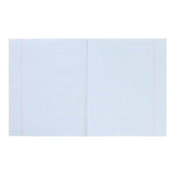 Тетрадь 48 листов в клетку Calligrata "Путешествие", обложка мелованный картон, УФ-лак, блок офсет, МИКС