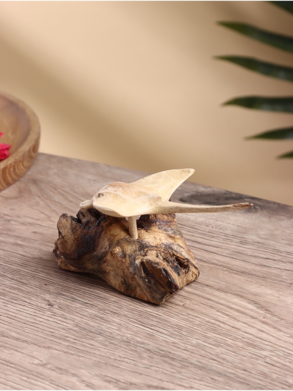 Сувенир "Скатик" дерево Джати и Камал, 10х12х5 см