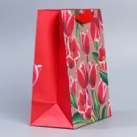 Пакет подарочный крафтовый, упаковка, &laquo;8 марта&raquo;, MS 23 х 18 х 10 см