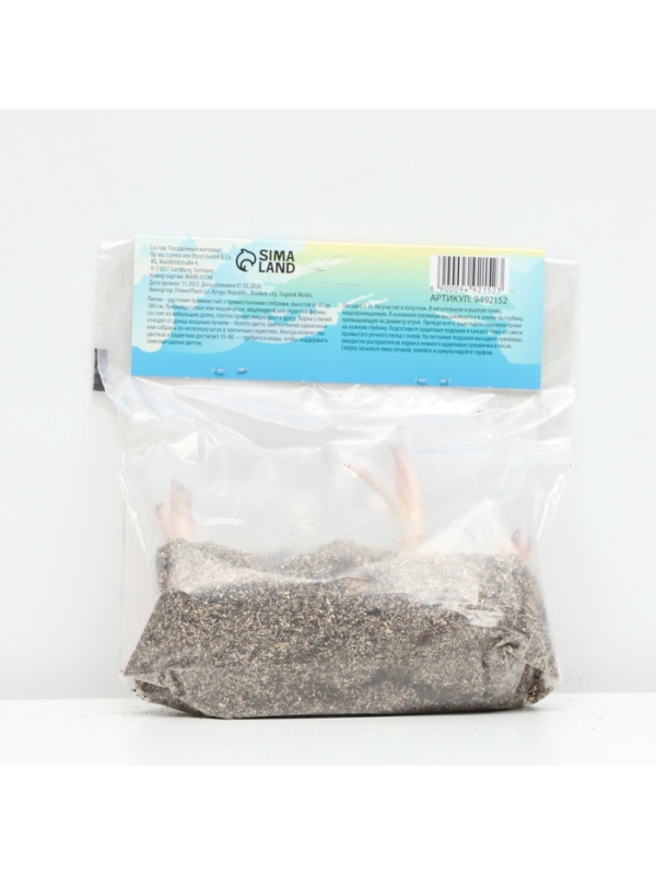 Лилия Восточная Virtuoso, луковица в пакете с перфорацией, р-р 12/14, 3 шт.