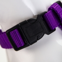 Комплект для кошек, ширина 1,5 см, ОШ 16,5-27 см, ОГ 21-35 см, поводок 120 см, фиолетовый