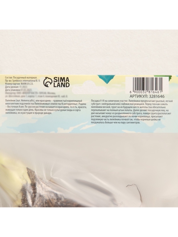 Флокс метельчатый &laquo;Аметист&raquo;, корневище в пакете с торфогрунтом, р-р I, 2 шт.