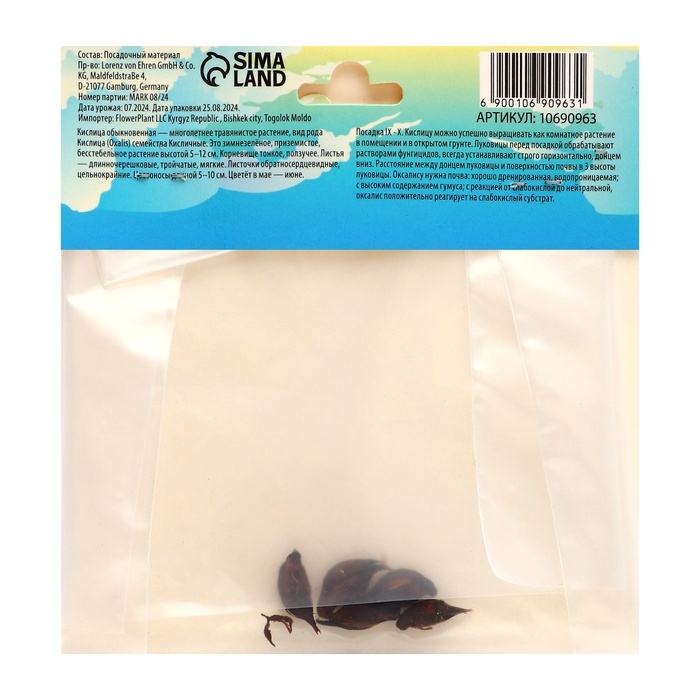 Кислица (Оксалис) Версиколор, р-р l, 5 шт, Осень 2024 Кислица (Оксалис) Версиколор, р-р l, 5 шт, Осень 2024